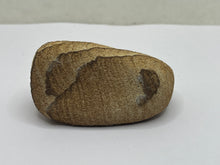 Load image into Gallery viewer, Polished sandstone
