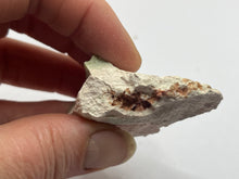 Load image into Gallery viewer, Boracite
