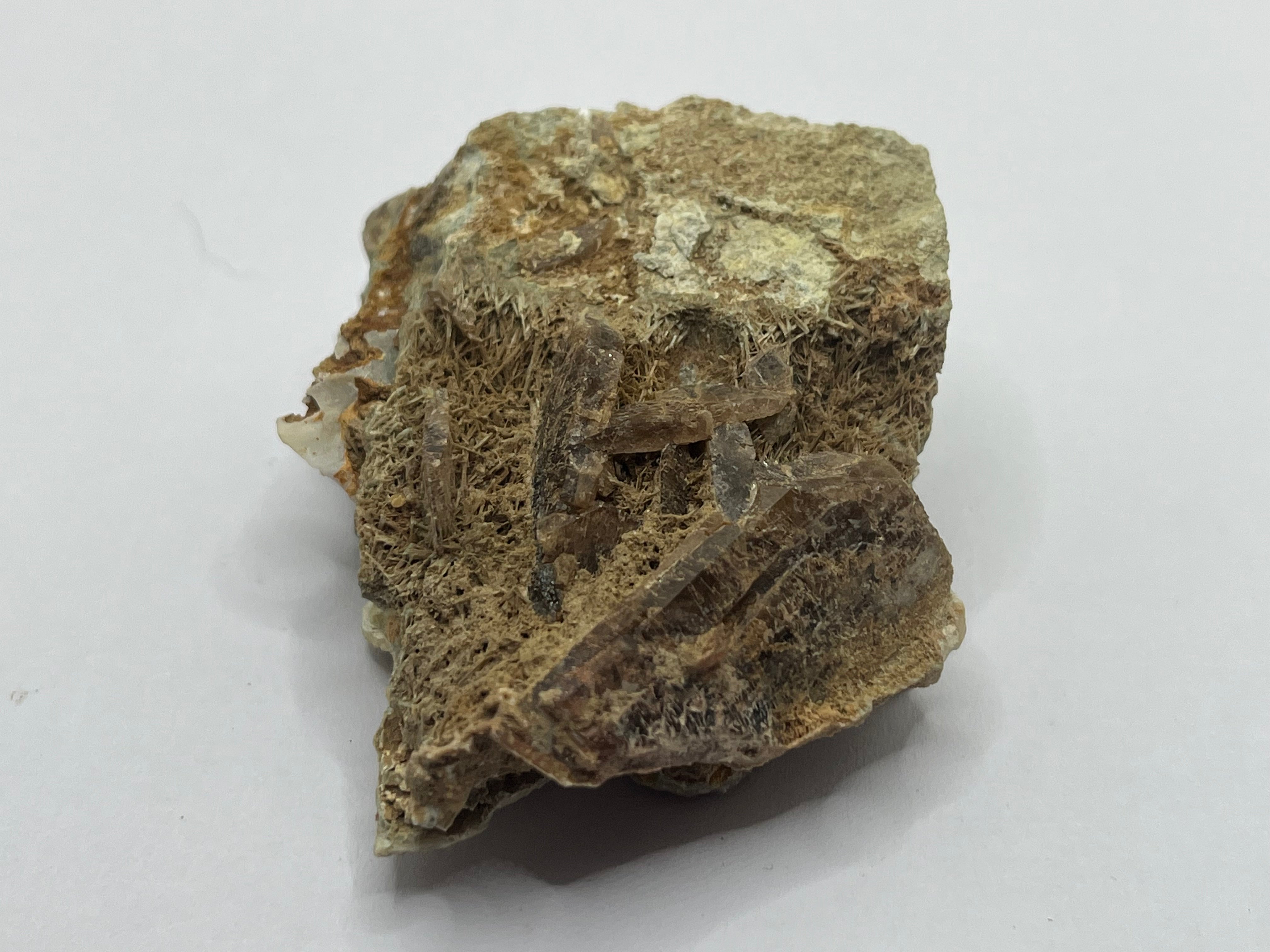 Acinite – Crystal and fossils