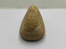 Load image into Gallery viewer, Polished sandstone
