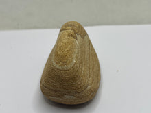 Load image into Gallery viewer, Polished sandstone
