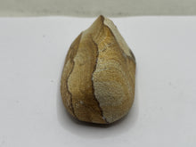 Load image into Gallery viewer, Polished sandstone
