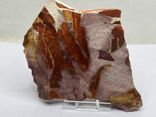 Load image into Gallery viewer, Glossopteris Fossil Fern
