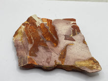 Load image into Gallery viewer, Glossopteris Fossil Fern
