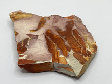 Load image into Gallery viewer, Glossopteris Fossil Fern
