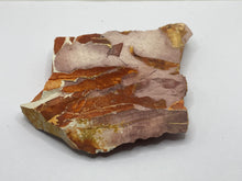 Load image into Gallery viewer, Glossopteris Fossil Fern
