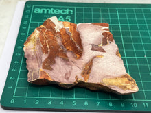 Load image into Gallery viewer, Glossopteris Fossil Fern
