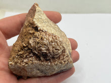 Load image into Gallery viewer, Dolomite
