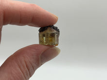 Load image into Gallery viewer, Fluorapatite
