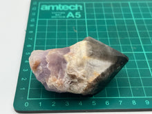 Load image into Gallery viewer, Root of transformation
