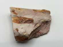 Load image into Gallery viewer, Glossopteris Fossil Fern
