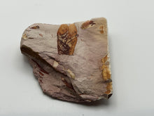 Load image into Gallery viewer, Glossopteris Fossil Fern
