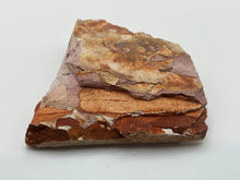 Load image into Gallery viewer, Glossopteris Fossil Fern
