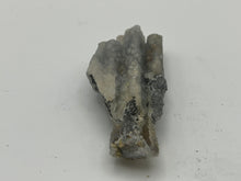 Load image into Gallery viewer, Bamboo agate

