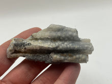 Load image into Gallery viewer, Bamboo agate
