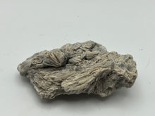 Load image into Gallery viewer, Woolastonite
