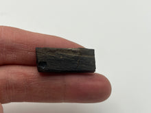 Load image into Gallery viewer, Whitby jet fossil wood

