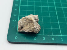 Load image into Gallery viewer, Pyrophyllite From Graves Mountain Georgia USA
