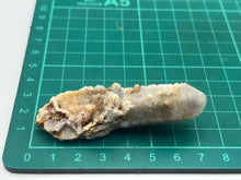 Load image into Gallery viewer, Cactus quartz
