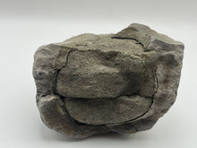 Load image into Gallery viewer, Chalcopyrite
