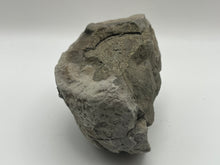 Load image into Gallery viewer, Chalcopyrite
