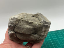 Load image into Gallery viewer, Chalcopyrite
