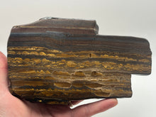 Load image into Gallery viewer, Tiger stone stromatolite
