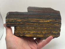 Load image into Gallery viewer, Tiger stone stromatolite
