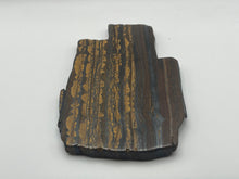 Load image into Gallery viewer, Tiger stone stromatolite
