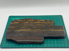 Load image into Gallery viewer, Tiger stone stromatolite
