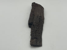 Load image into Gallery viewer, Druzy fossil wood
