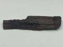 Load image into Gallery viewer, Druzy fossil wood
