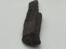 Load image into Gallery viewer, Druzy fossil wood
