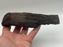 Load image into Gallery viewer, Druzy fossil wood
