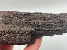 Load image into Gallery viewer, Druzy fossil wood
