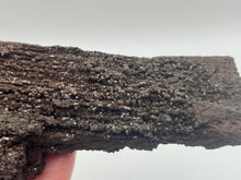 Load image into Gallery viewer, Druzy fossil wood
