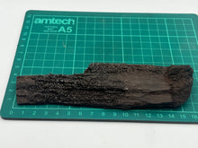 Load image into Gallery viewer, Druzy fossil wood
