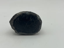 Load image into Gallery viewer, Conifer fossil wood

