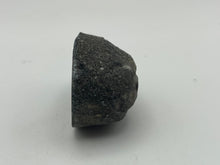 Load image into Gallery viewer, Conifer fossil wood
