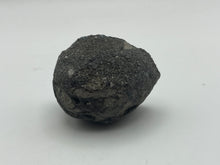 Load image into Gallery viewer, Conifer fossil wood

