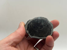 Load image into Gallery viewer, Conifer fossil wood
