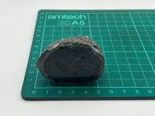 Load image into Gallery viewer, Conifer fossil wood

