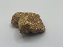 Load image into Gallery viewer, Cave bear bone
