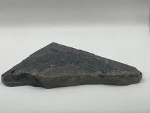 Load image into Gallery viewer, Osteoplepis Macrolepidotus Fish Fossil
