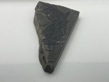 Load image into Gallery viewer, Osteoplepis Macrolepidotus Fish Fossil
