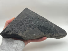 Load image into Gallery viewer, Osteoplepis Macrolepidotus Fish Fossil
