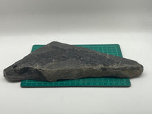 Load image into Gallery viewer, Osteoplepis Macrolepidotus Fish Fossil

