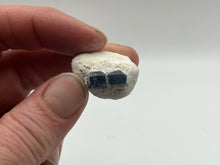 Load image into Gallery viewer, Sapphire
