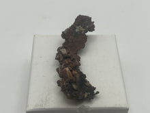 Load image into Gallery viewer, Copper
