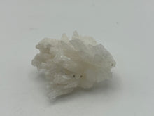 Load image into Gallery viewer, Aragonite coraloide
